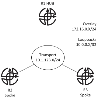 DVMPN-IPSEC-FVRF